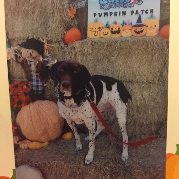 Meet your Posher, Shari - Picture 1 of 1